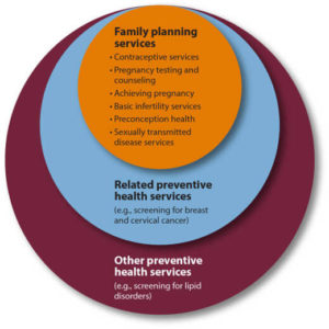 Graphic of Family Planning Services